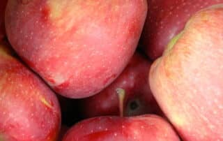 apples small
