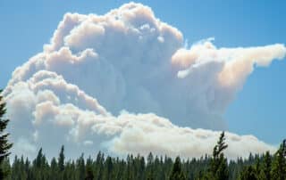 Smoke Column North Column Fire 2020