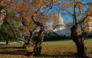 AOC via Flickr Capitol large e1602259303521