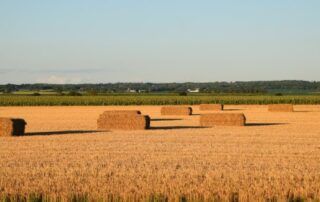 Agriculture at TCS