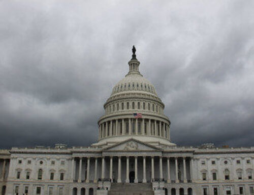 Weekly WastebasketNew Year Congressional ResolutionsHow to put the overreaching executive genie back in the bottle.