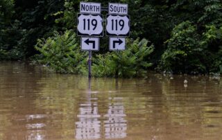 flood cropped banner image