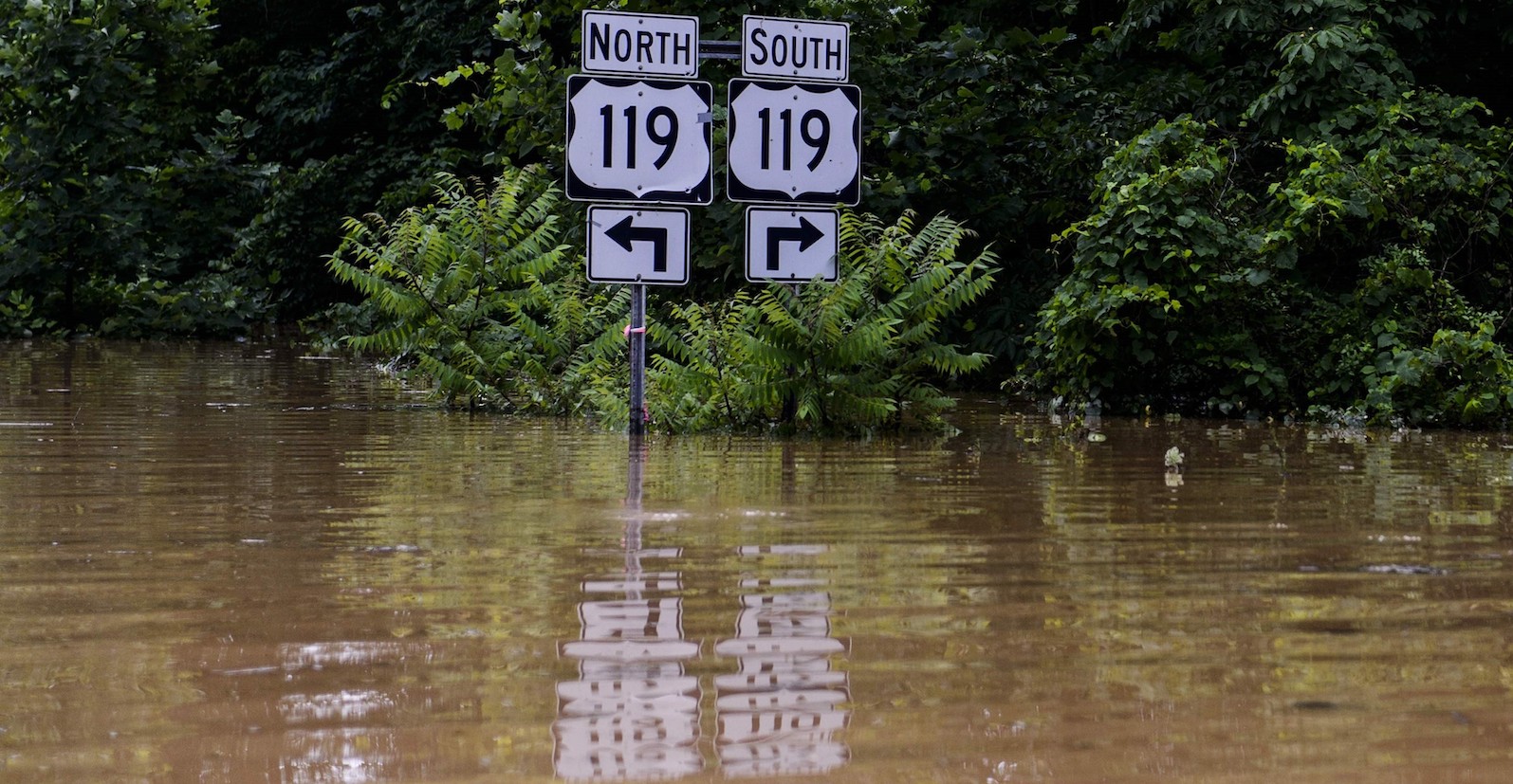 flood cropped banner image