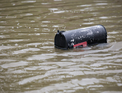 Weekly Wastebasket, Earth DayPositing Positive Possibilities on ClimateReal solutions for the climate and taxpayers