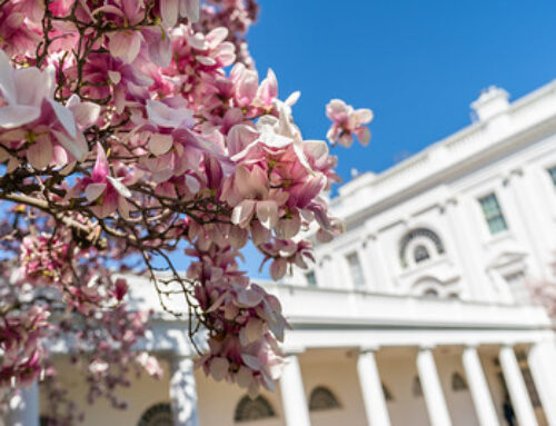 Rolling AnalysisThe President’s FY2022 Budget