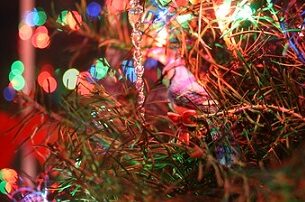 2378788968 06a5091f71 w e1640198292859