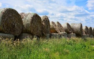 hay bale 3