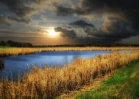 Prairie wetlands