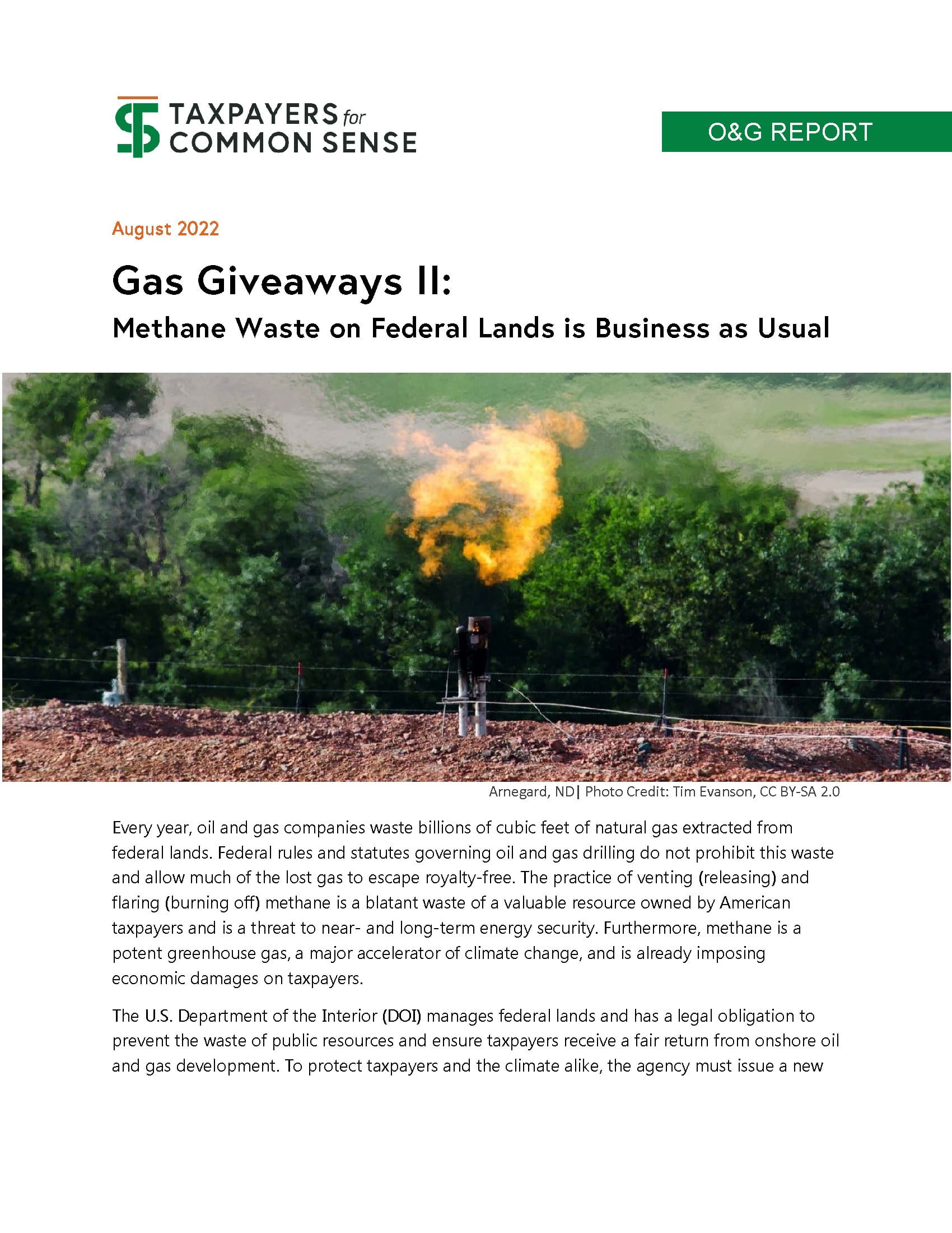 Cover of Gas Giveaways 2 Report