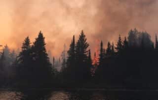 Wildfire NPS Mike Ausema 1