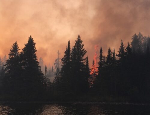Taxpayers and Communities Win with  More Accountable and Transparent Wildfire Spending