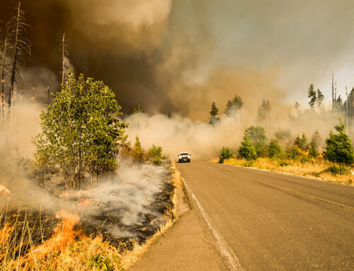 President Trump’s FY2026 Forest Service Budget Request