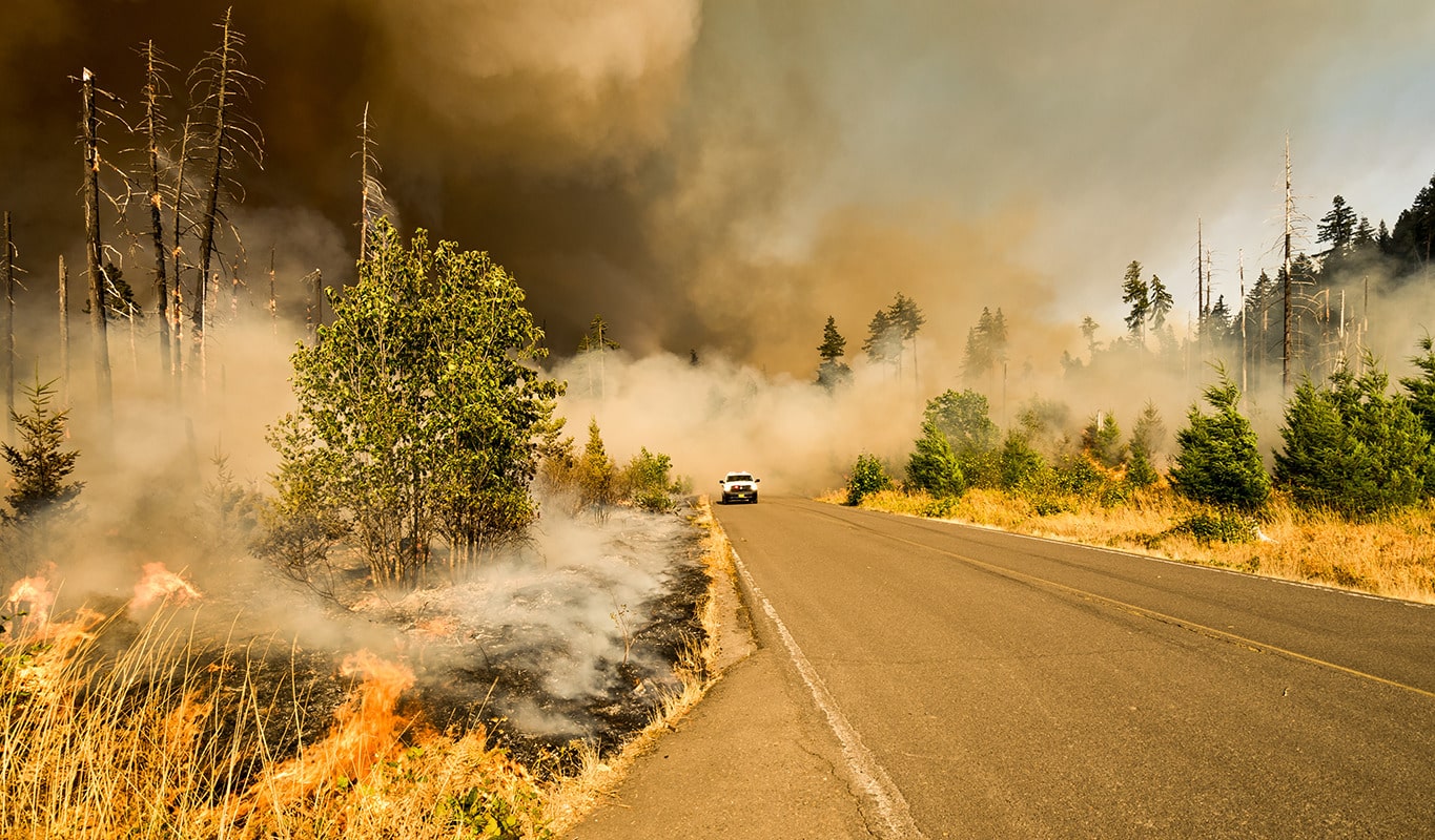 A pickup truck outfitted with a siren system drives between a wildfire