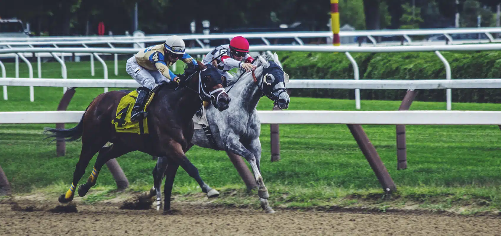 Two horse-riders racing at a racecourse