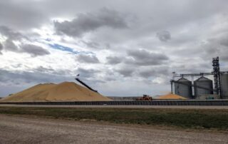 corn pile 2