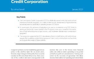 Congressional Oversight vs. Administrative Discretion Gone Wild? The Case of the Commodity Credit Corporation