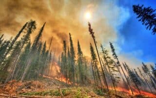 2021 NIFC Summit Trail