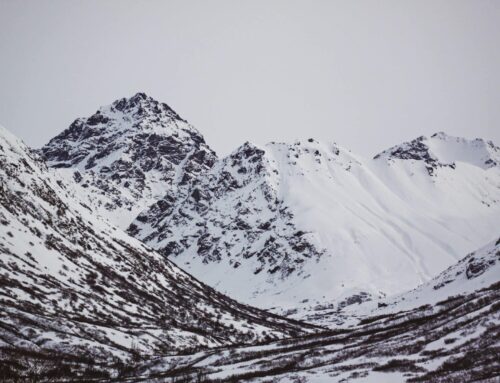Watchdog says ANWR lease sales would flop again