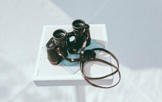 corina rainer f8QKOhRaaFw unsplash 1