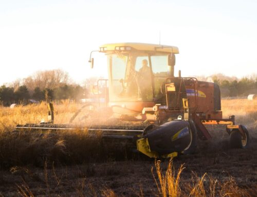 What Farmers Think About the Farm Bill