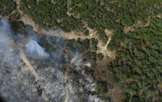 A Wildfire clears a swath of forest with the lower left half of the image razed to the ground.