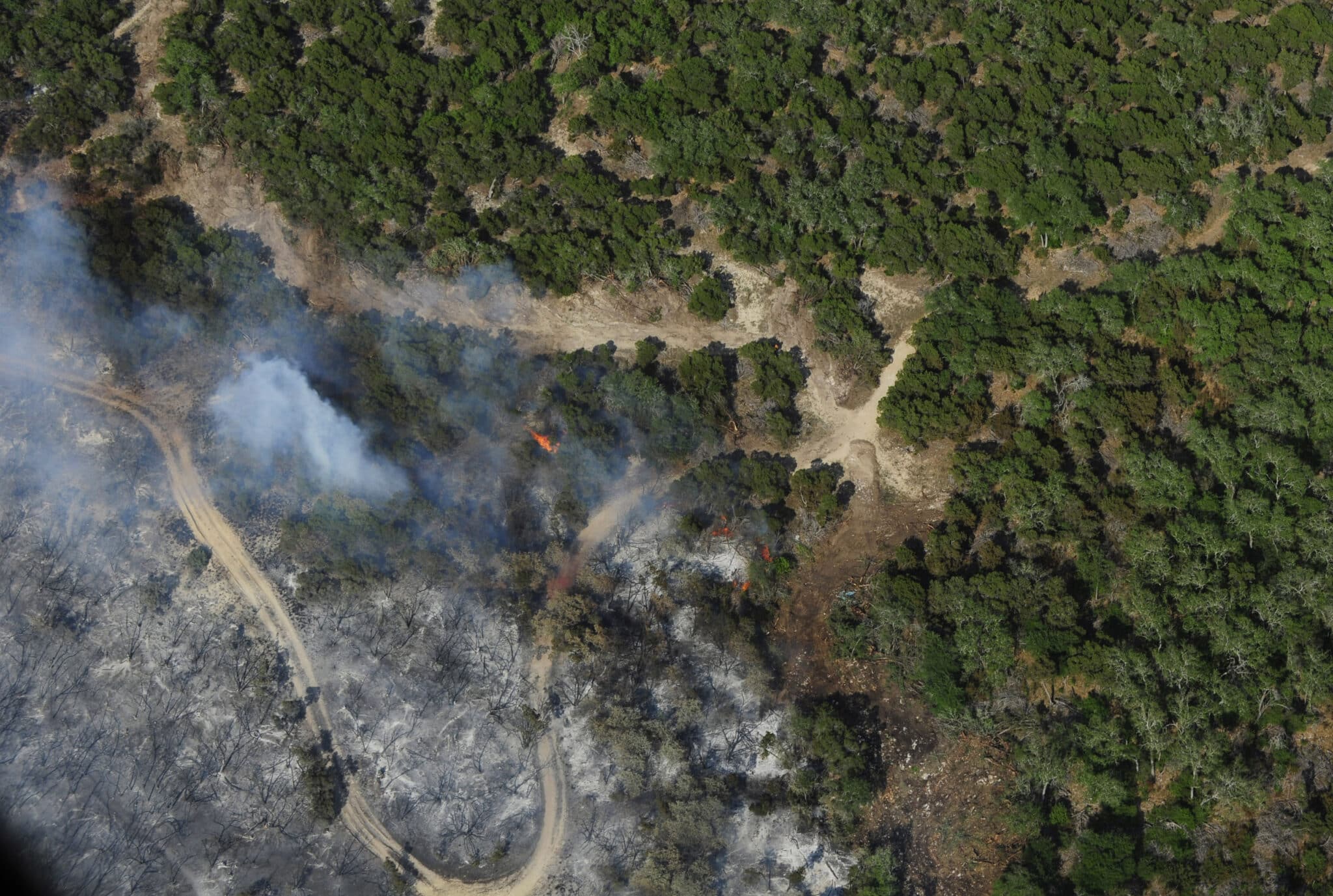 A Wildfire clears a swath of forest with the lower left half of the image razed to the ground.