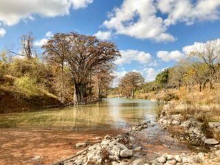 thomas park p8snzzd96Wk unsplash