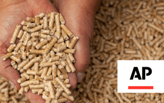 A hand holding wood pellets