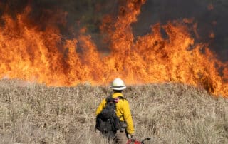 Siuslaw Oregon Dunes Prescribed Burn 2022
