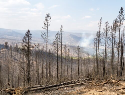 House Natural Resources Hearing on Fix Our Forests Act