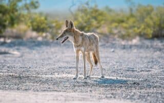 joshua wilking bgSKRrYFYxc unsplash