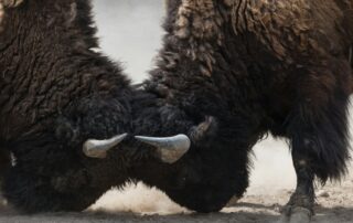 uriel soberanes L1bAGEWYCtk unsplash e1740086105558