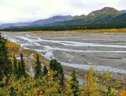 Here We Go Again: New Arctic Refuge Oil & Gas Lease Sales Required under Reconciliation Bill
