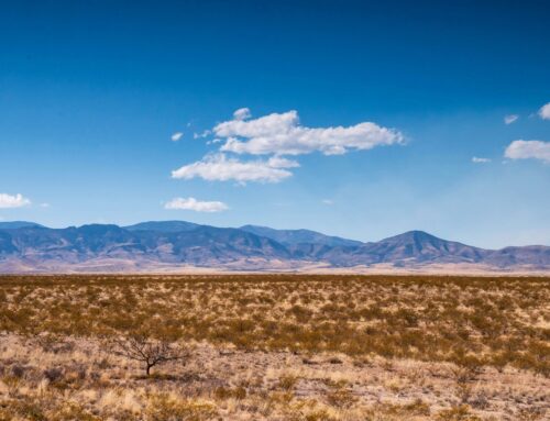 Interior Leases 1,261 Acres of Federal Land in New Mexico for Oil and Gas Development