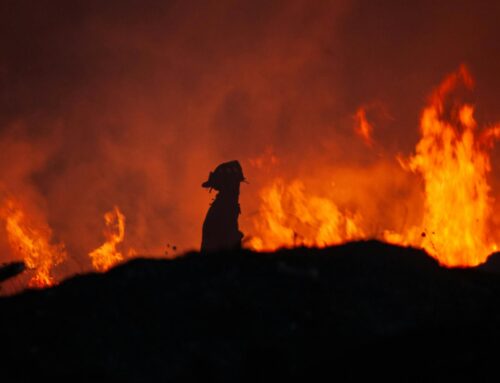 What is the U.S. Wildland Fire Service?