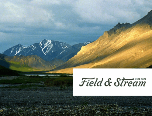 Budget Bill Still Mandates Drilling in Pristine Arctic National Wildlife Refuge