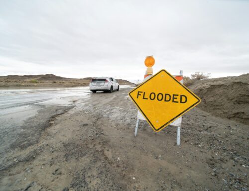 Disasters Compel the Nation to Improve