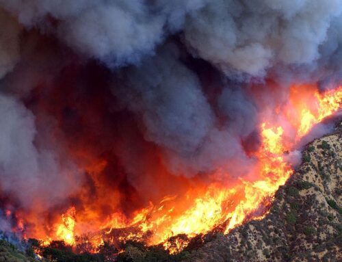 Federal Spending and Programs on Wildfire