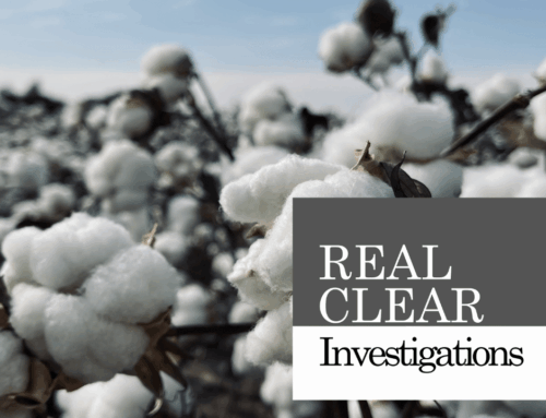 Waste of the Day: Throwback Thursday – Subsidies for Cotton