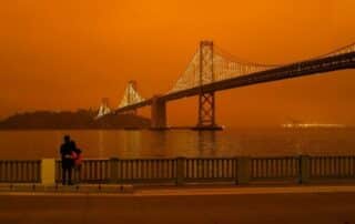Wildfire Photo 1