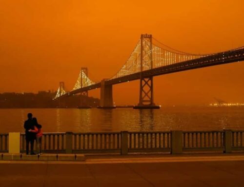 Wildfires in California – Zooming in on the Wildland Urban Interface