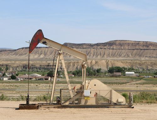 High Country News: Elk herd habitat near Dinosaur National Monument to open for drilling