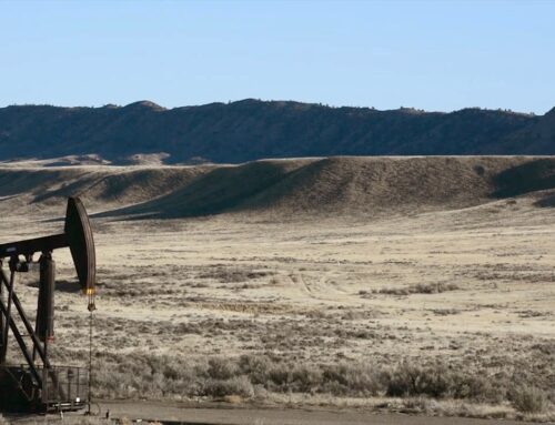Wyoming Lease Sales Will Cost Taxpayers $22 Million in Lost Royalty Revenues