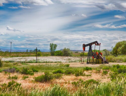 69,000 Acres of Public Land Leased for Oil and Gas Development in Wyoming Could Cost Taxpayers $31 Million