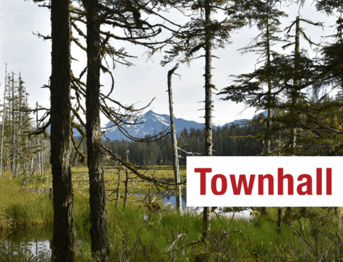 Destroying Roadless Protections Causes Waste and Bureaucracy