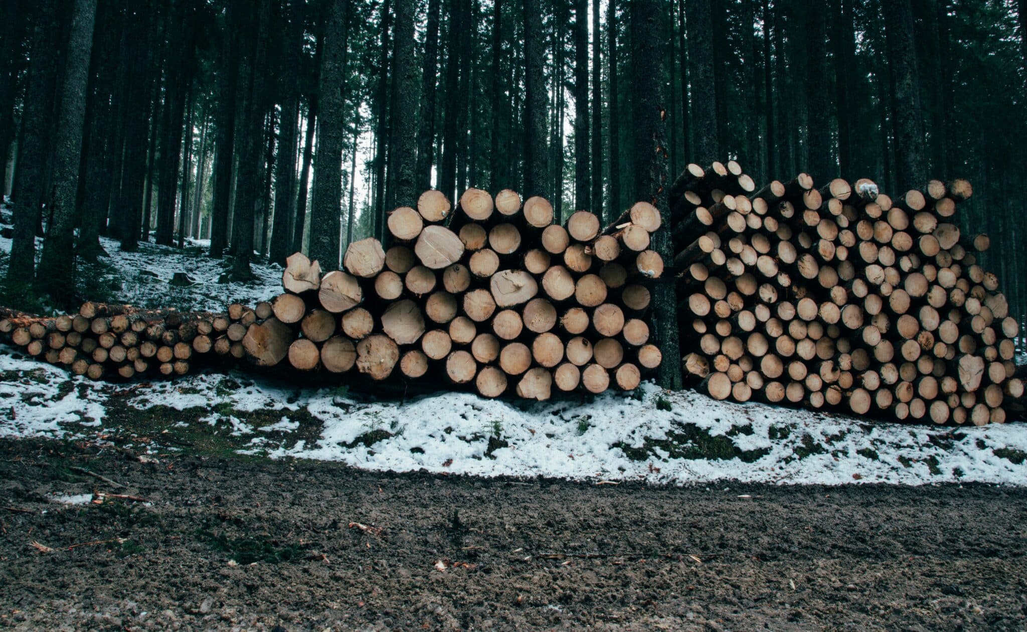 ales krivec Bb4C0IwSoW4 unsplash scaled
