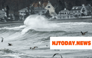 seagulls fly chaotically to avoid a storm as coastal waters rage with houses in the background