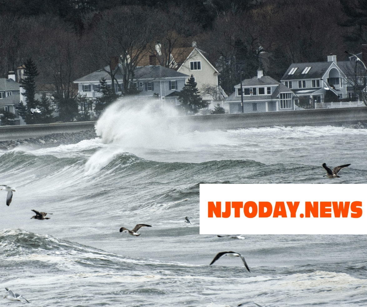 seagulls fly chaotically to avoid a storm as coastal waters rage with houses in the background