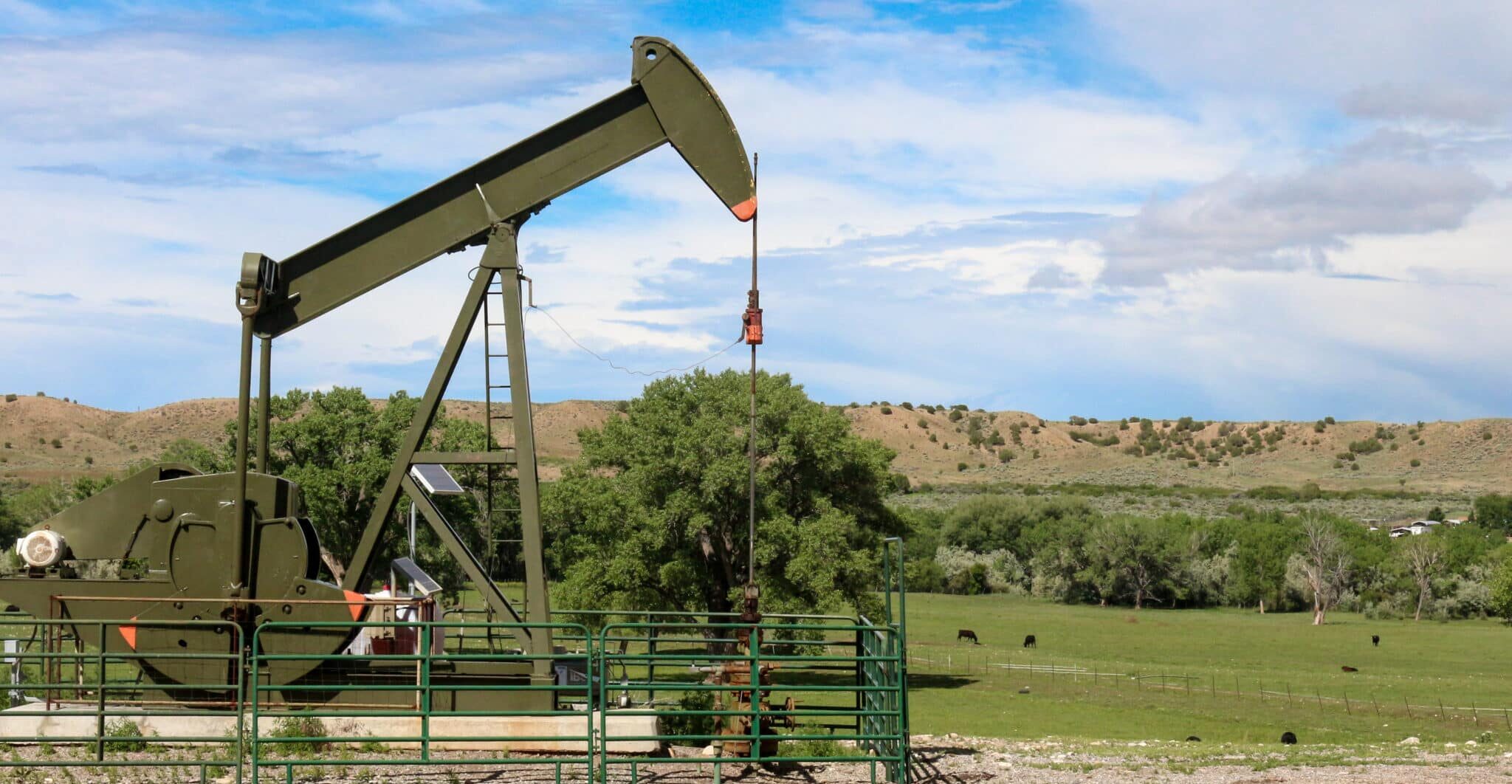 AdobeStock 86200806 1 scaled e1762460149224