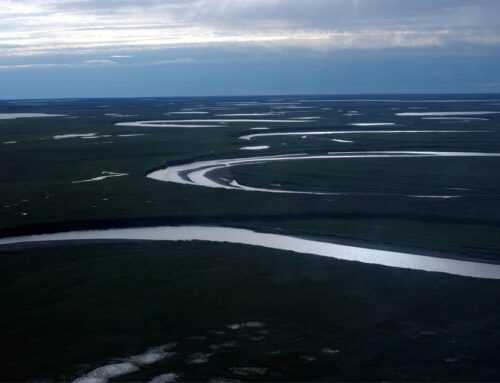 Congress Uses Blunt Procedural Maneuver to Recklessly Open up More Land in the National Petroleum Reserve in Alaska for Oil and Gas Leasing